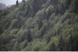 Photo of Mixed Textures